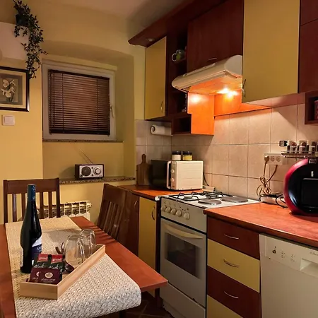 Apartment Festina Lente Apartment-center Of The City! Sarajevo